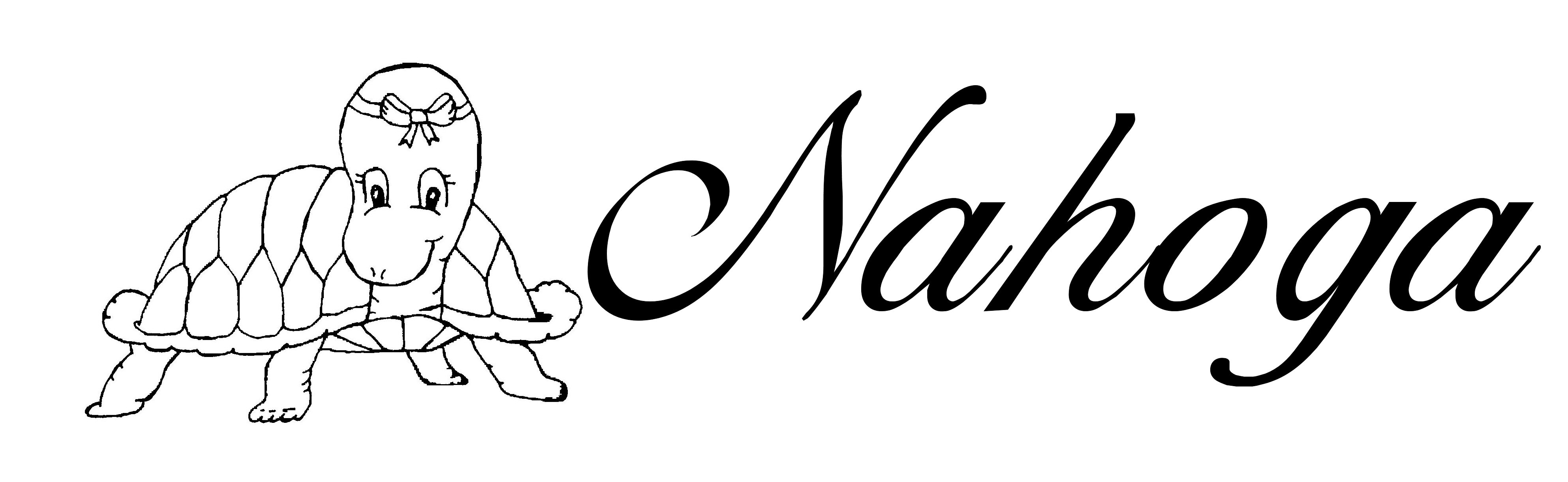 Turtle logo1