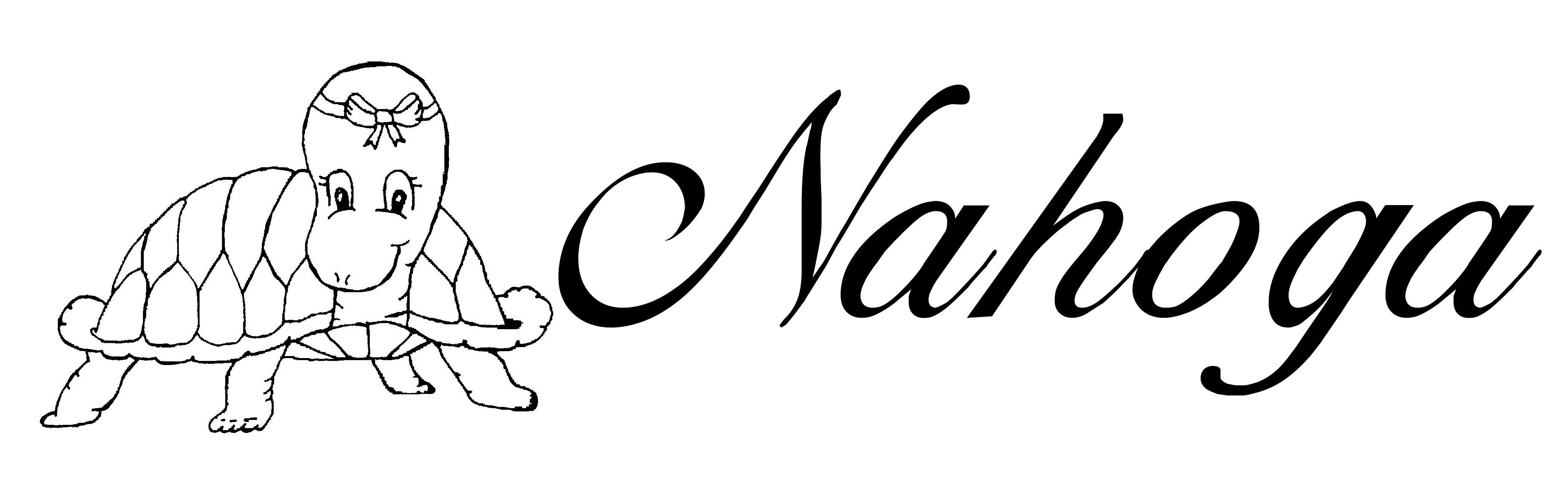 Turtle logo2